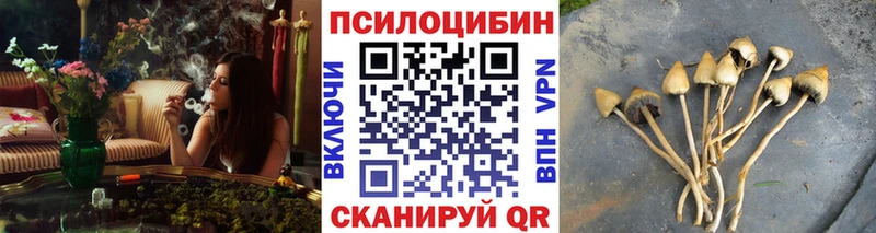 Псилоцибиновые грибы ЛСД  Кинель 