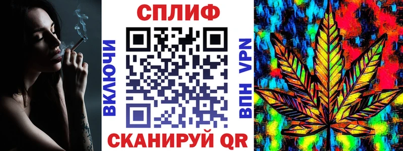 Конопля план  Кинель 